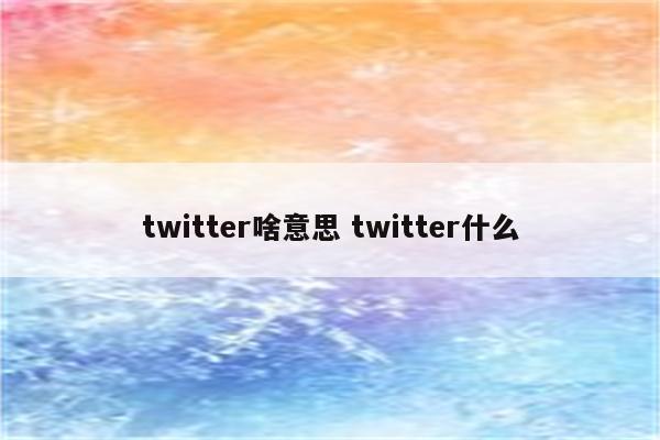 twitter啥意思 twitter什么