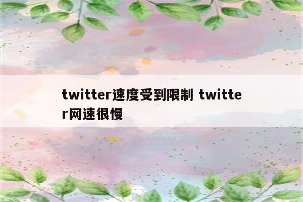 twitter速度受到限制 twitter网速很慢