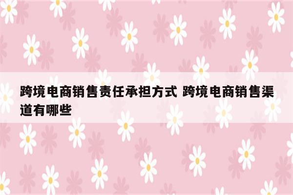 跨境电商销售责任承担方式 跨境电商销售渠道有哪些