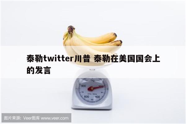 泰勒twitter川普 泰勒在美国国会上的发言