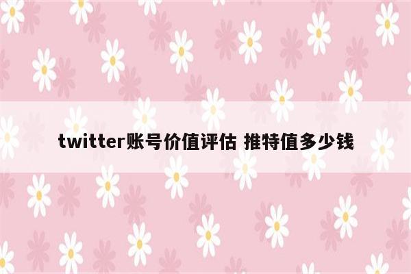twitter账号价值评估 推特值多少钱
