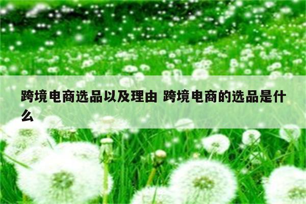 跨境电商选品以及理由 跨境电商的选品是什么