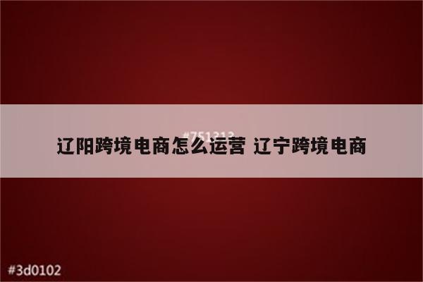 辽阳跨境电商怎么运营 辽宁跨境电商
