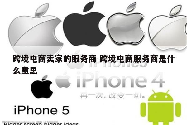 跨境电商卖家的服务商 跨境电商服务商是什么意思