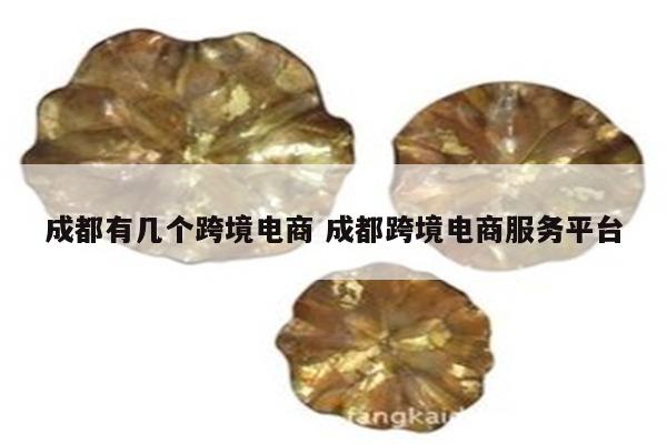 成都有几个跨境电商 成都跨境电商服务平台