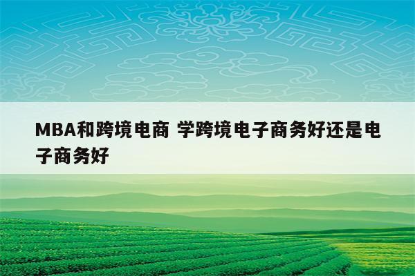 MBA和跨境电商 学跨境电子商务好还是电子商务好