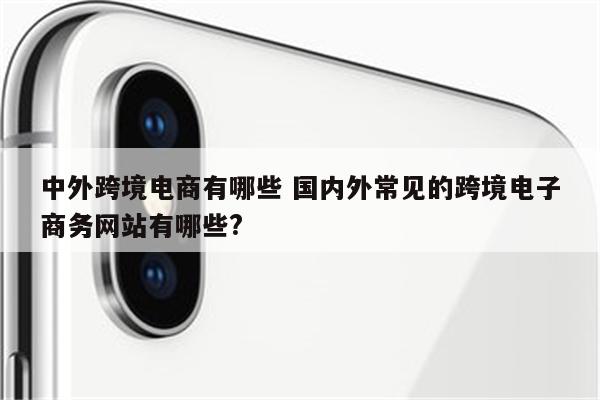 中外跨境电商有哪些 国内外常见的跨境电子商务网站有哪些?
