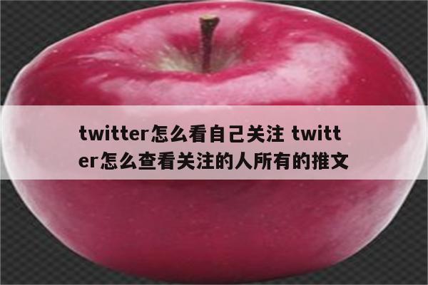 twitter怎么看自己关注 twitter怎么查看关注的人所有的推文