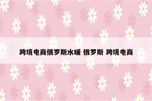 跨境电商俄罗斯水暖 俄罗斯 跨境电商