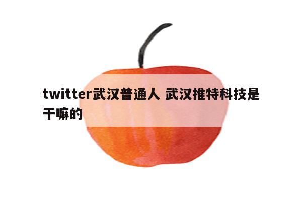 twitter武汉普通人 武汉推特科技是干嘛的