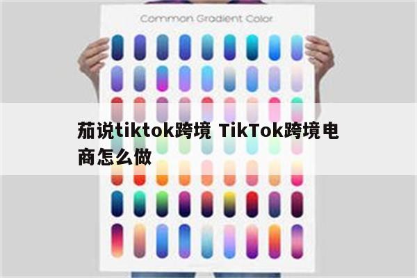 茄说tiktok跨境 TikTok跨境电商怎么做