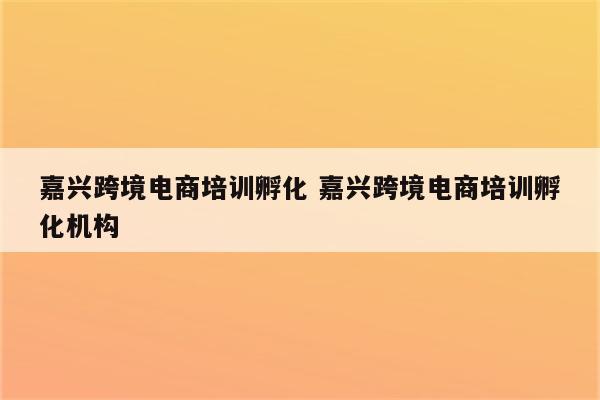 嘉兴跨境电商培训孵化 嘉兴跨境电商培训孵化机构