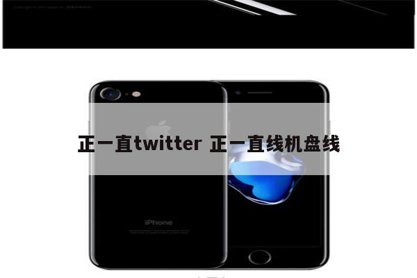正一直twitter 正一直线机盘线