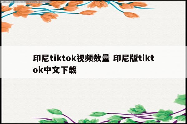 印尼tiktok视频数量 印尼版tiktok中文下载