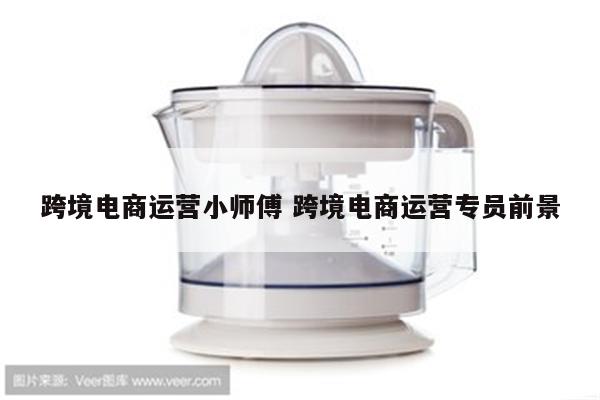 跨境电商运营小师傅 跨境电商运营专员前景