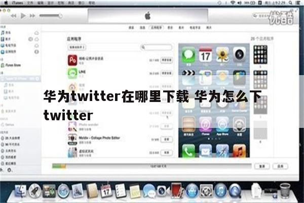 华为twitter在哪里下载 华为怎么下twitter