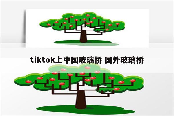 tiktok上中国玻璃桥 国外玻璃桥