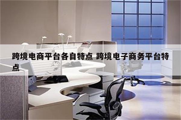 跨境电商平台各自特点 跨境电子商务平台特点