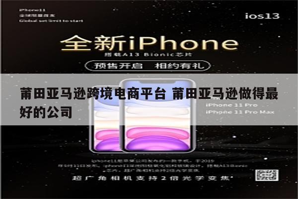 莆田亚马逊跨境电商平台 莆田亚马逊做得最好的公司