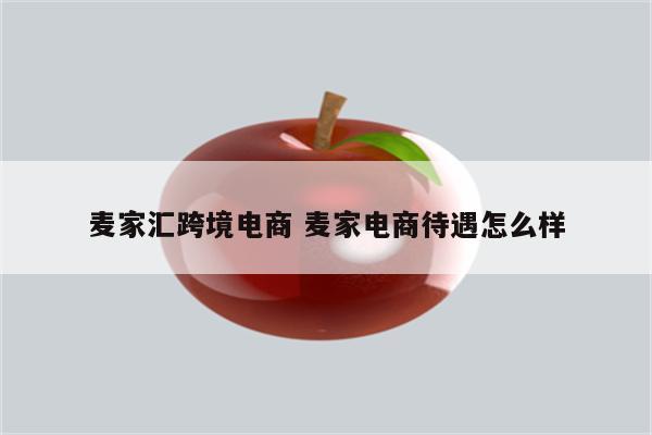 麦家汇跨境电商 麦家电商待遇怎么样