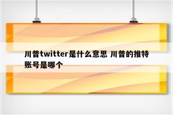 川普twitter是什么意思 川普的推特账号是哪个