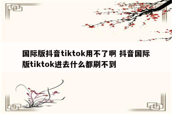 国际版抖音tiktok用不了啊 抖音国际版tiktok进去什么都刷不到