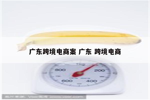 广东跨境电商案 广东 跨境电商
