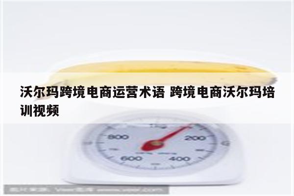 沃尔玛跨境电商运营术语 跨境电商沃尔玛培训视频
