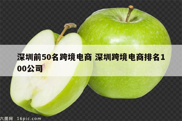 深圳前50名跨境电商 深圳跨境电商排名100公司