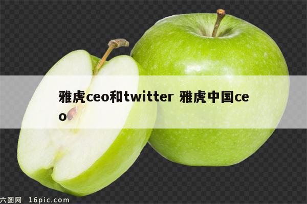 雅虎ceo和twitter 雅虎中国ceo