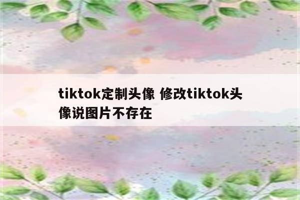 tiktok定制头像 修改tiktok头像说图片不存在