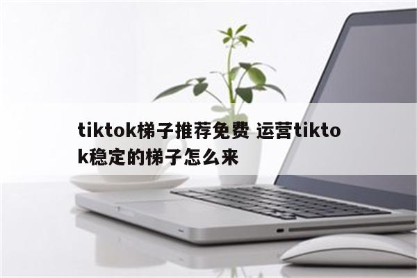 tiktok梯子推荐免费 运营tiktok稳定的梯子怎么来