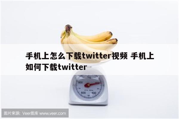 手机上怎么下载twitter视频 手机上如何下载twitter