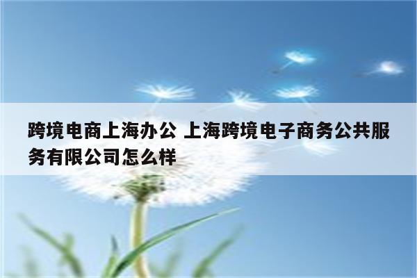 跨境电商上海办公 上海跨境电子商务公共服务有限公司怎么样