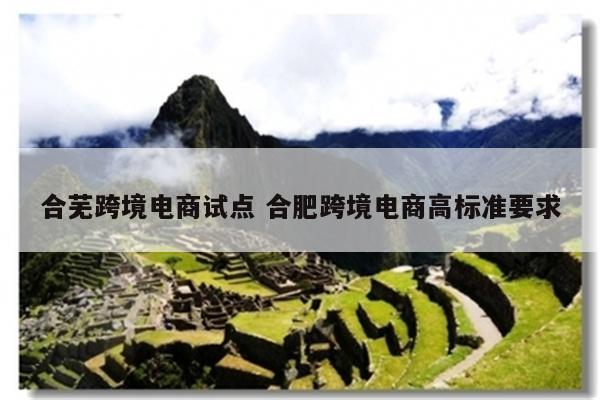 合芜跨境电商试点 合肥跨境电商高标准要求