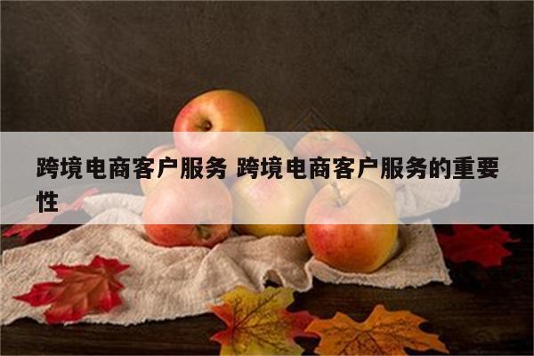 跨境电商客户服务 跨境电商客户服务的重要性