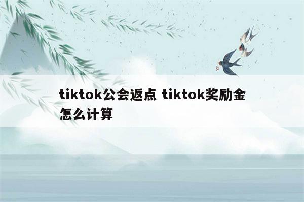 tiktok公会返点 tiktok奖励金怎么计算
