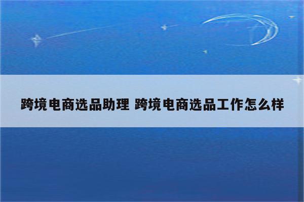 跨境电商选品助理 跨境电商选品工作怎么样