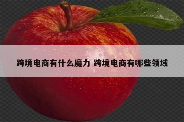 跨境电商有什么魔力 跨境电商有哪些领域