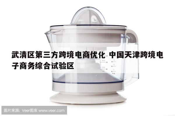 武清区第三方跨境电商优化 中国天津跨境电子商务综合试验区