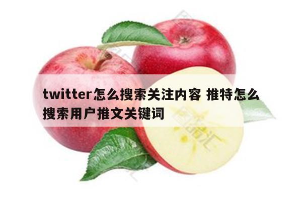twitter怎么搜索关注内容 推特怎么搜索用户推文关键词