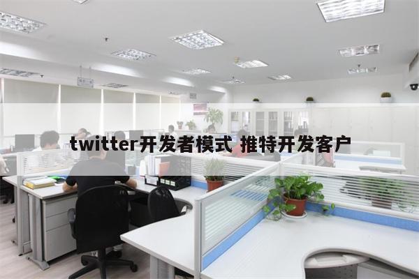 twitter开发者模式 推特开发客户