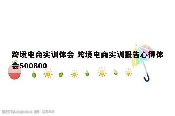 跨境电商实训体会 跨境电商实训报告心得体会500800