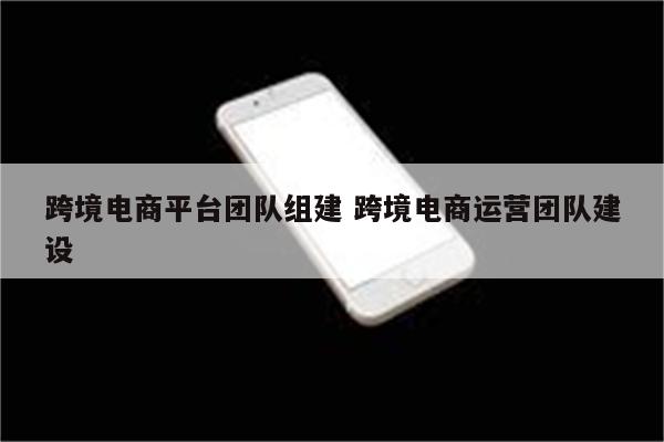 跨境电商平台团队组建 跨境电商运营团队建设