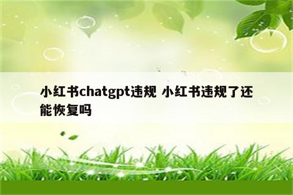 小红书chatgpt违规 小红书违规了还能恢复吗
