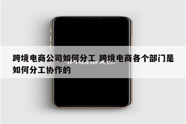 跨境电商公司如何分工 跨境电商各个部门是如何分工协作的