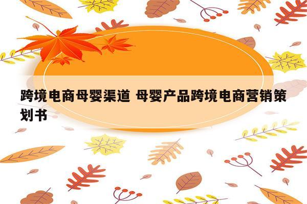 跨境电商母婴渠道 母婴产品跨境电商营销策划书