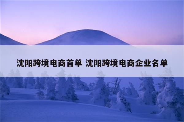 沈阳跨境电商首单 沈阳跨境电商企业名单