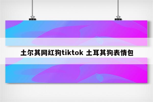 土尔其网红狗tiktok 土耳其狗表情包