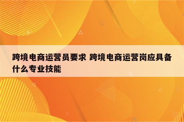 跨境电商运营员要求 跨境电商运营岗应具备什么专业技能